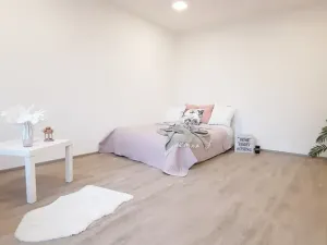 Pronájem bytu 1+1, Brno, Fričova, 46 m2