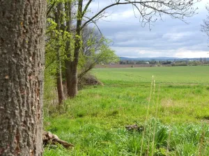 Prodej louky, Podhradí, 744 m2