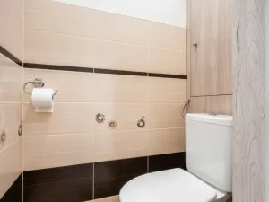 Pronájem bytu 2+1, Vyškov - Vyškov-Předměstí, Tyršova, 63 m2