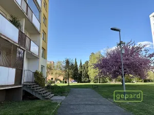 Pronájem bytu 3+1, Olomouc, Jeremiášova, 69 m2