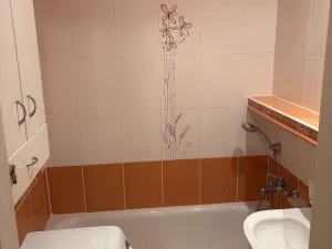 Prodej bytu 3+1, Ostrava - Poruba, Vietnamská, 66 m2