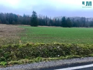 Prodej komerčního pozemku, Želetava - Šašovice, 1354 m2