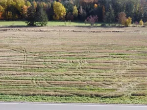 Prodej komerčního pozemku, Želetava - Šašovice, 1354 m2