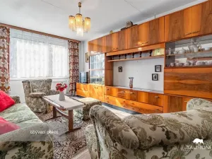 Prodej bytu 3+1, Plasy, Potoční, 74 m2