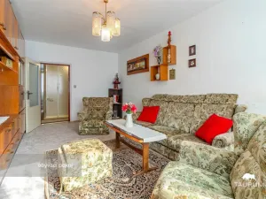 Prodej bytu 3+1, Plasy, Potoční, 74 m2