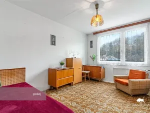 Prodej bytu 3+1, Plasy, Potoční, 74 m2