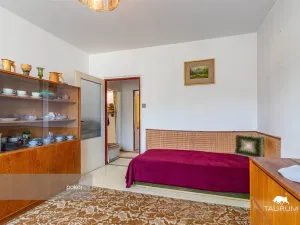 Prodej bytu 3+1, Plasy, Potoční, 74 m2