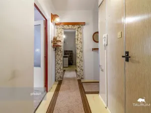 Prodej bytu 3+1, Plasy, Potoční, 74 m2