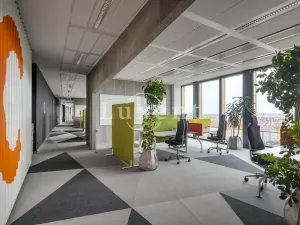 Pronájem kanceláře, Praha - Nusle, Pikrtova, 500 m2
