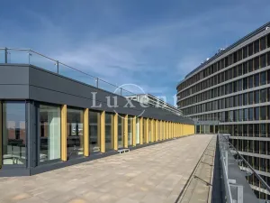 Pronájem kanceláře, Praha - Nusle, Pikrtova, 500 m2