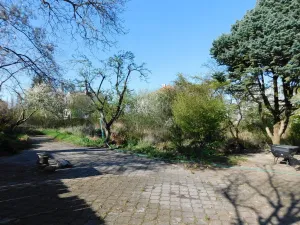 Prodej pozemku, Lhota, 3645 m2