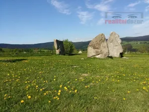 Prodej bytu 1+kk, Říčky v Orlických horách, 55 m2