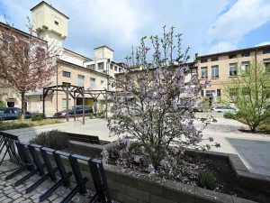 Pronájem ordinace, Hradec Králové, Pospíšilova, 49 m2