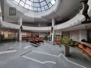 Pronájem komerční nemovitosti, Plzeň, 1000 m2