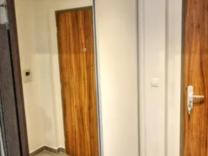 Pronájem bytu 1+kk, Plzeň, U Borských kasáren, 40 m2