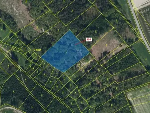 Dražba lesa, Řepníky, 6762 m2