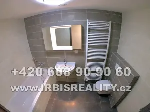 Pronájem bytu 2+kk, Plzeň, Papírnická, 50 m2