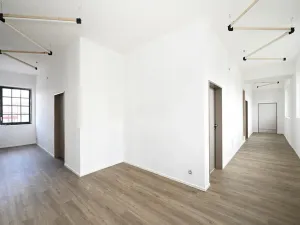 Pronájem ordinace, Hradec Králové, Pospíšilova, 49 m2