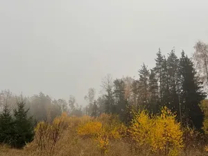 Prodej lesa, Úboč, 13538 m2