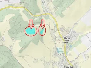 Prodej lesa, Český Dub, 17551 m2