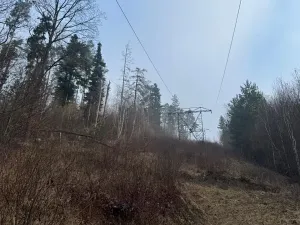 Prodej podílu lesa, Malá Bystřice, 5829 m2