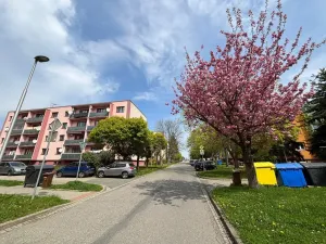 Prodej bytu 4+1, Kroměříž, Talichova, 96 m2