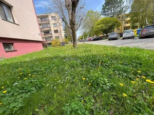 Prodej bytu 4+1, Kroměříž, Talichova, 96 m2