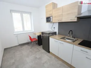 Pronájem bytu 1+kk, Přimda - Újezd pod Přimdou, 15 m2