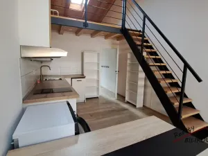 Pronájem atypického bytu, Brandýs nad Labem-Stará Boleslav, Dr. Jánského, 44 m2