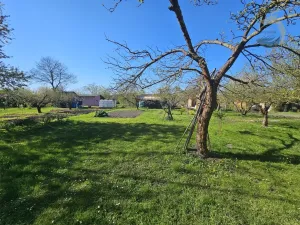 Prodej zahrady, Plzeň, 408 m2