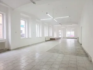 Pronájem obchodního prostoru, Teplice, Dubská, 188 m2