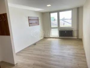 Pronájem bytu 1+1, Vyškov - Vyškov-Předměstí, 41 m2