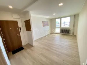 Pronájem bytu 1+1, Vyškov - Vyškov-Předměstí, 41 m2