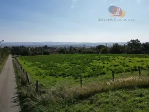 Prodej pozemku pro bydlení, Radslavice, 4528 m2