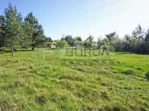 Prodej zahrady, Mělník, 9817 m2