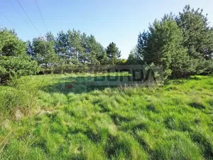 Prodej zahrady, Mělník, 9817 m2