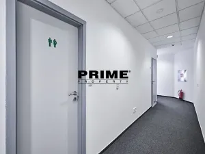 Pronájem kanceláře, Praha - Nové Město, Soukenická, 246 m2