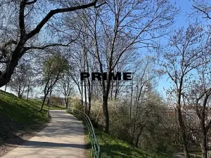 Pronájem bytu 2+kk, Praha - Žižkov, Jeseniova, 57 m2