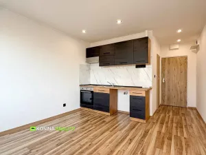Pronájem bytu 1+kk, Sokolov, Švabinského, 22 m2