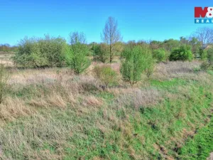 Prodej komerčního pozemku, Smiřice, 5275 m2