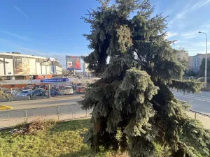 Pronájem bytu 3+1, Brno - Staré Brno, Poříčí, 81 m2