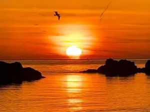 Prodej bytu 1+kk, Via Rinascimento,San Foca,Itálie, 66 m2