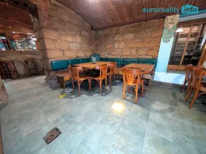 Prodej ubytování, Plzeň, Lindauerova, 700 m2