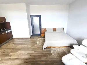 Pronájem bytu 1+kk, Písek, Vladislavova, 40 m2