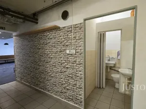 Pronájem restaurace, Písek, V Koutě, 230 m2