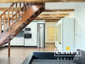 Prodej komerční nemovitosti, Žatec, Dvořákova, 139 m2