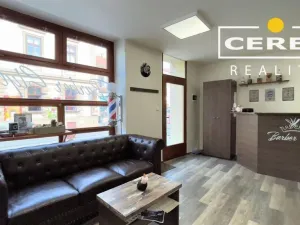 Prodej komerční nemovitosti, Žatec, Dvořákova, 139 m2