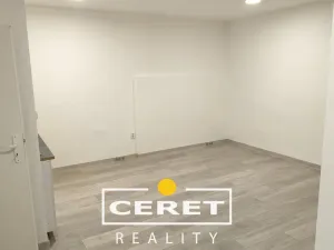 Prodej komerční nemovitosti, Žatec, Dvořákova, 139 m2