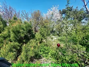 Prodej zahrady, Praha, Na Balkáně, 250 m2