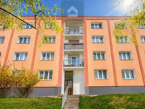 Prodej bytu 3+1, Plzeň - Lobzy, Dlouhá, 77 m2